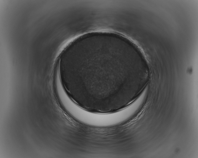 X0000095941319200801181352