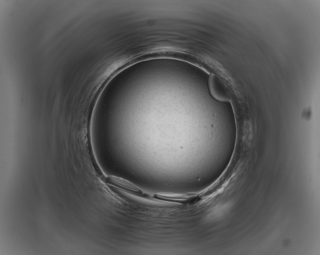 X0000095941321200801181352