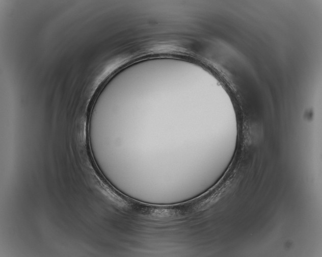 X0000095941322200801181352