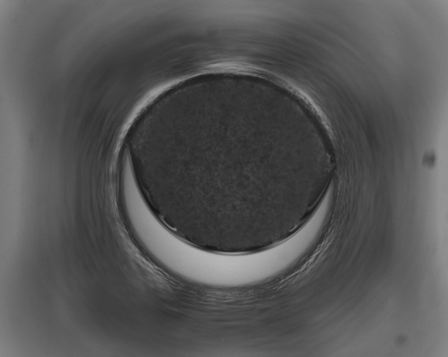 X0000095941323200801181352
