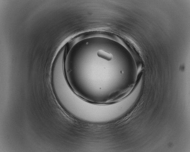 X0000095941324200801181352
