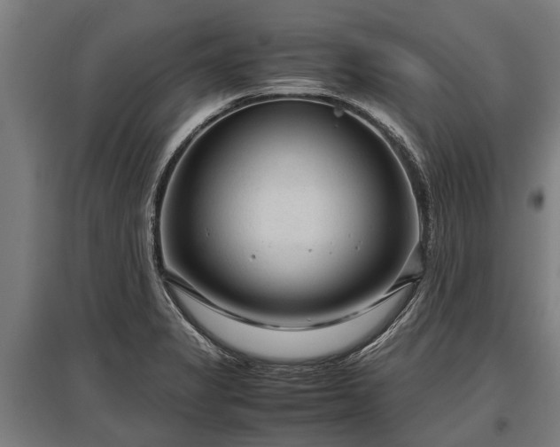 X0000095941325200801181352