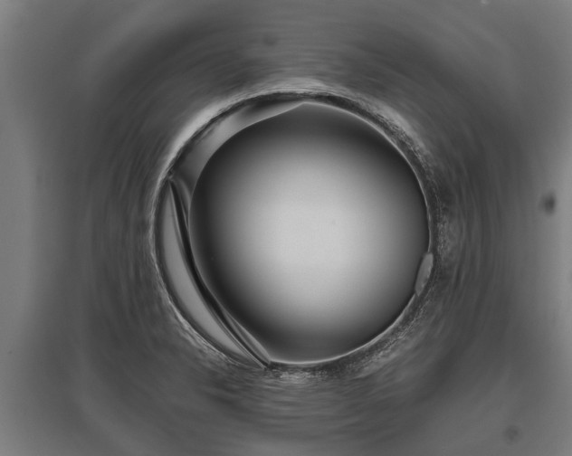 X0000095941326200801181352