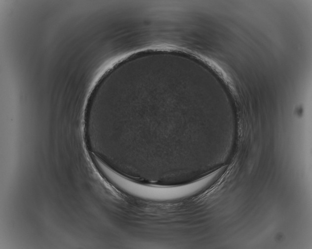 X0000095941327200801181352