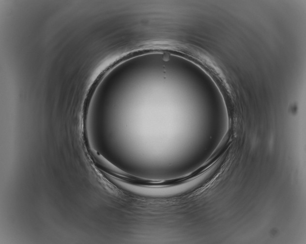 X0000095941328200801181352