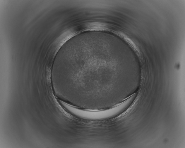 X0000095941329200801181352