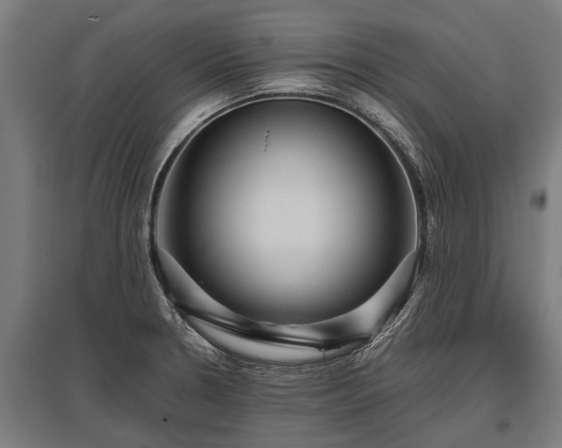 X0000095941330200801181352