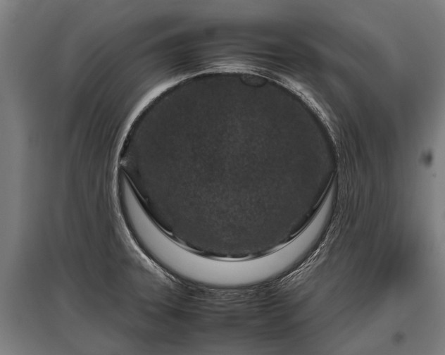 X0000095941331200801181352