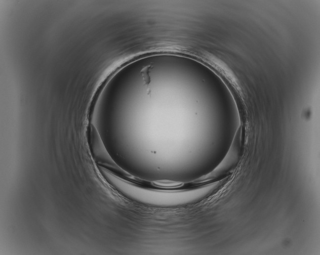 X0000095941332200801181352