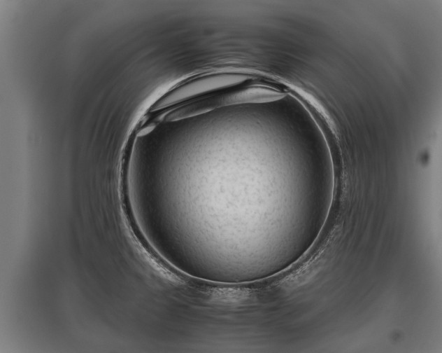 X0000095941333200801181352
