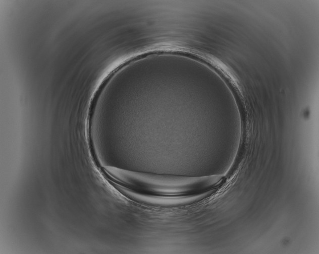 X0000095941334200801181352