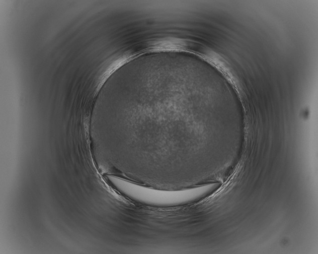 X0000095941337200801181352
