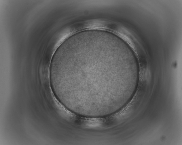 X0000095941338200801181352