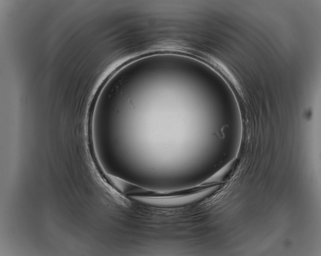 X0000095941339200801181352