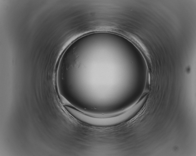 X0000095941340200801181352