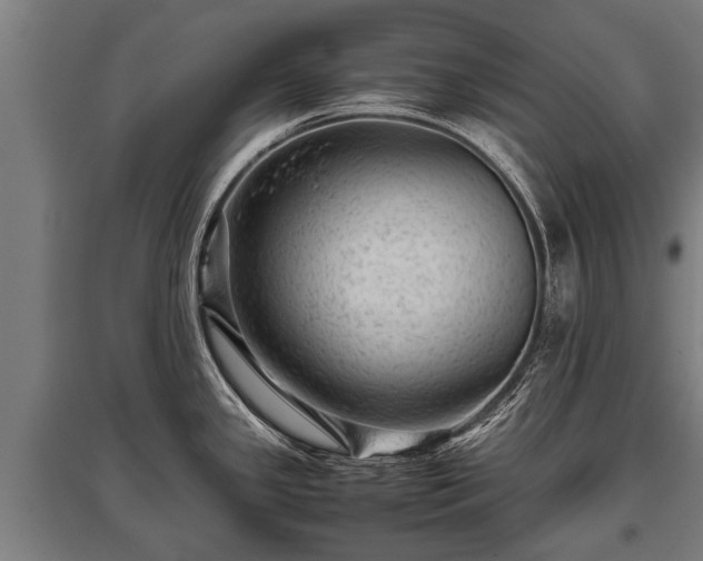 X0000095941341200801181352