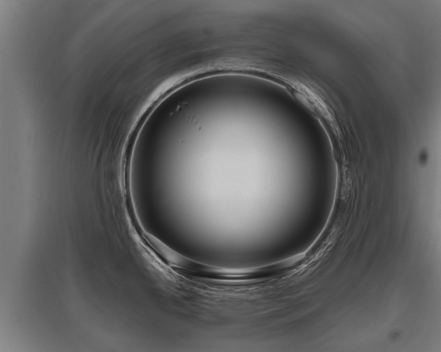 X0000095941342200801181352