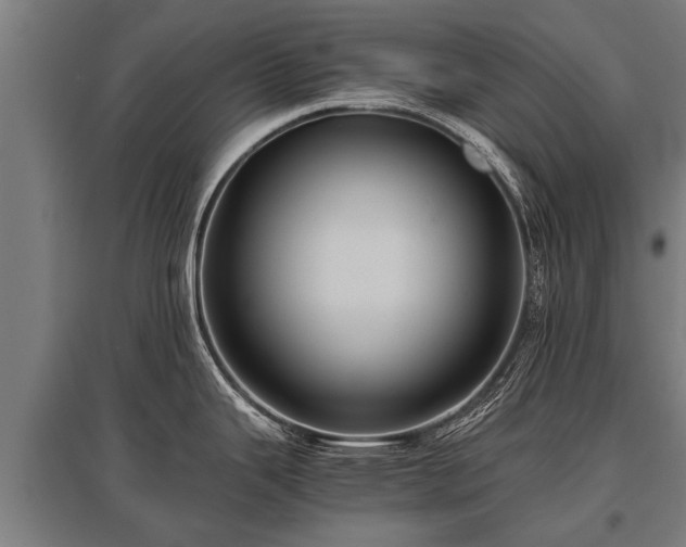 X0000095941343200801181352