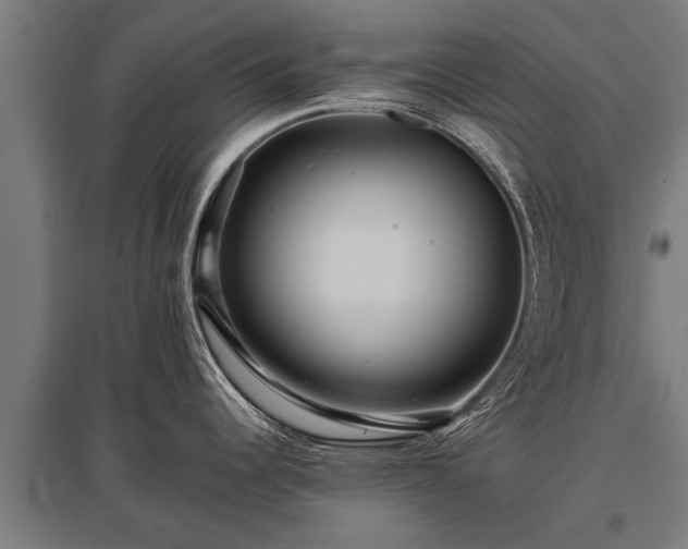 X0000095941344200801181352