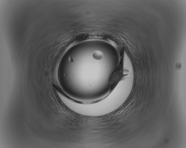 X0000095941345200801181352