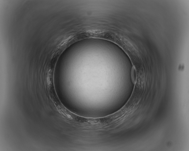X0000095941346200801181352