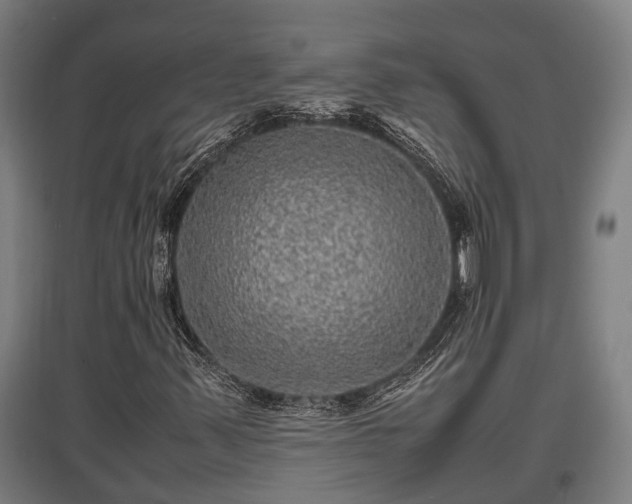 X0000095941347200801181351