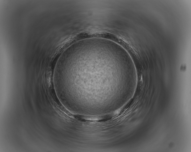 X0000095941348200801181351