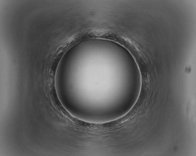 X0000095941349200801181351