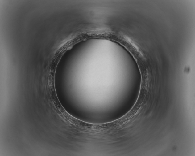 X0000095941350200801181351