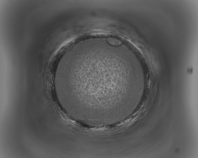 X0000095941351200801181351