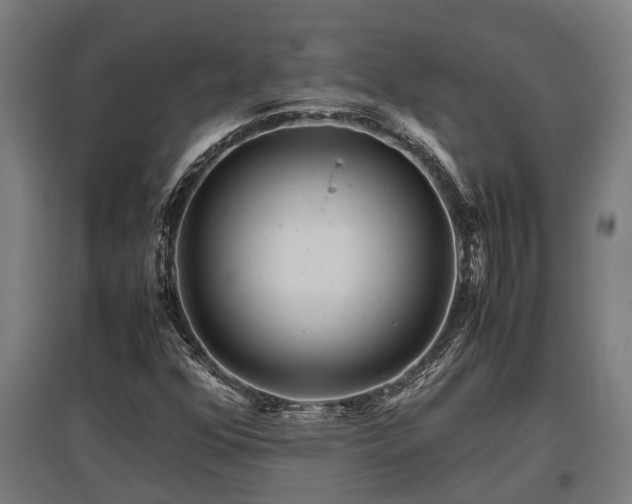 X0000095941352200801181351