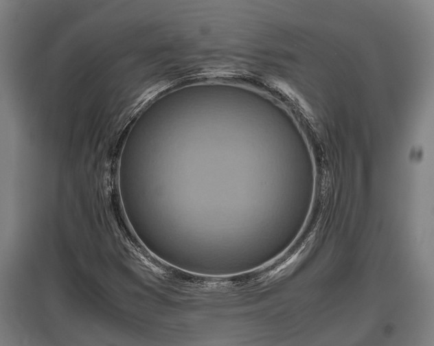 X0000095941353200801181351