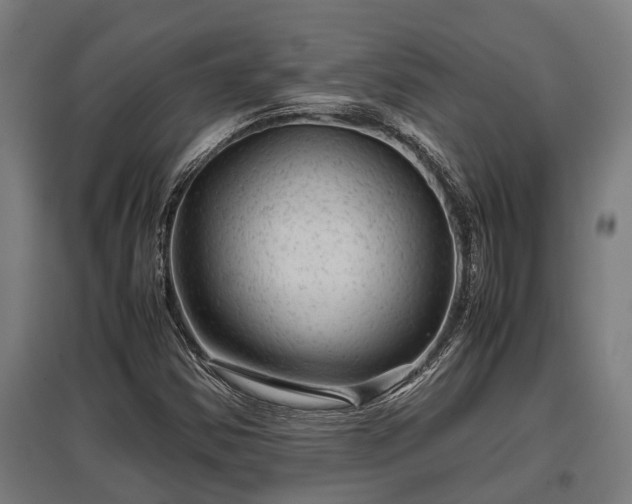 X0000095941354200801181351