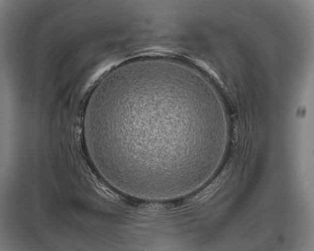 X0000095941355200801181351