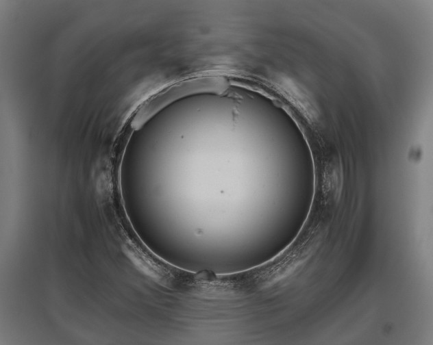 X0000095941356200801181351
