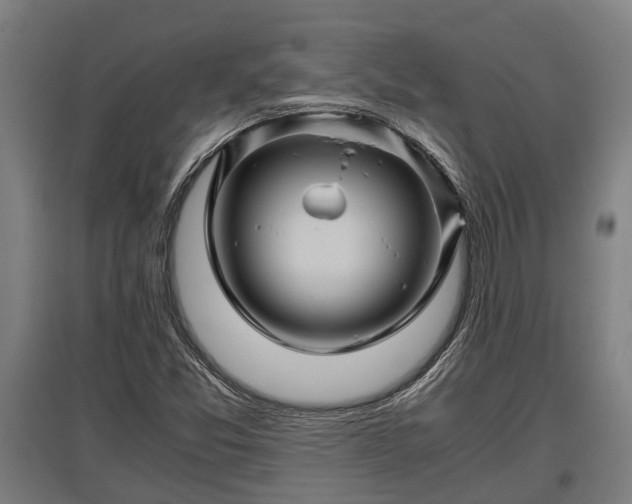 X0000095941357200801181351