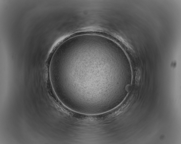 X0000095941358200801181351