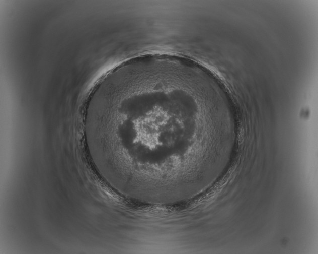 X0000095941359200801181351