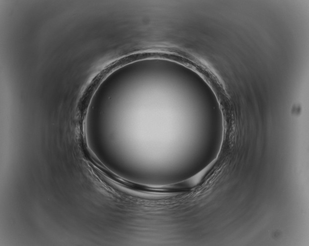 X0000095941360200801181351