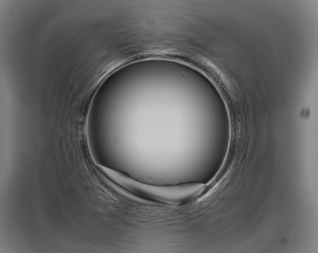 X0000095941361200801181351