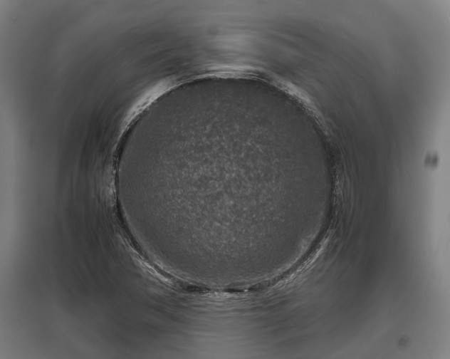 X0000095941362200801181351