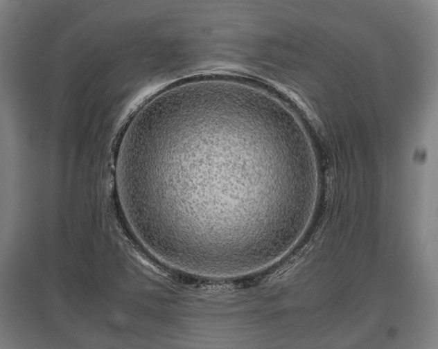 X0000095941363200801181351