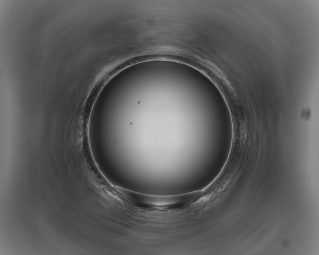 X0000095941364200801181351