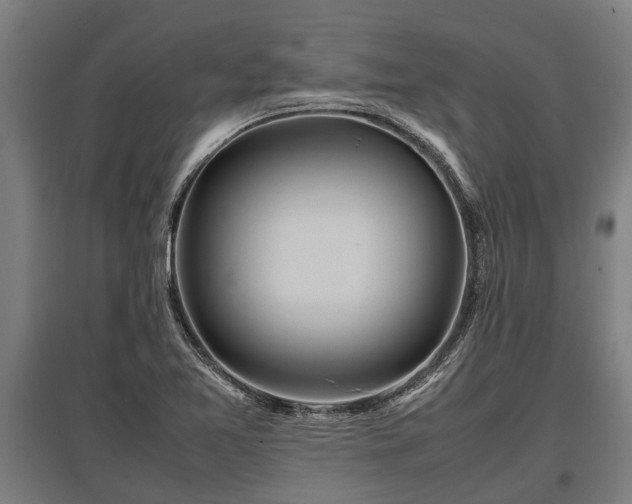 X0000095941365200801181351