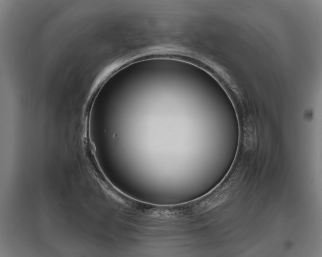 X0000095941366200801181351