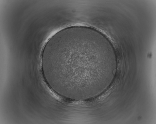 X0000095941367200801181351