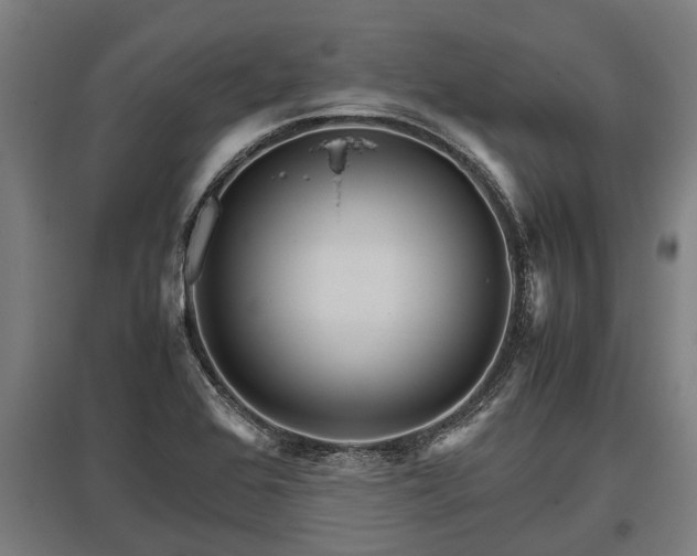 X0000095941368200801181351