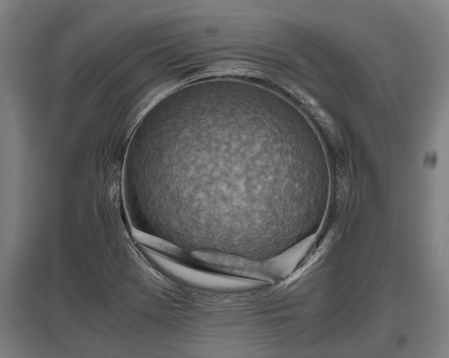 X0000095941369200801181351