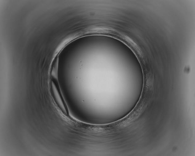 X0000095941370200801181351