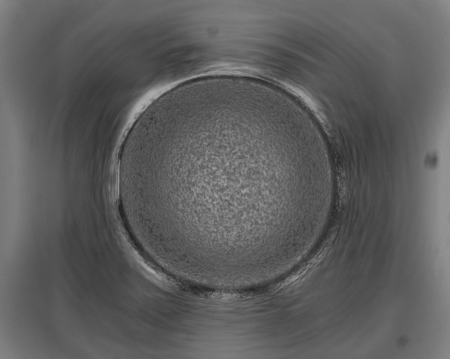 X0000095941371200801181351